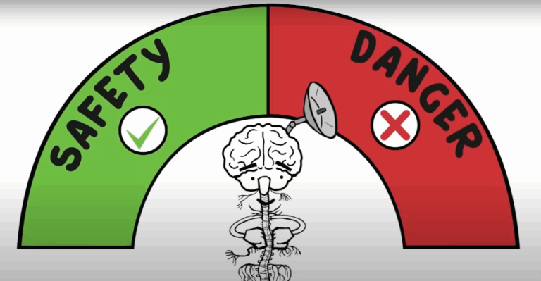 Comprendre la théorie polyvagale